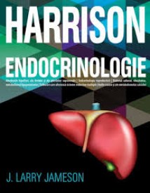 endo