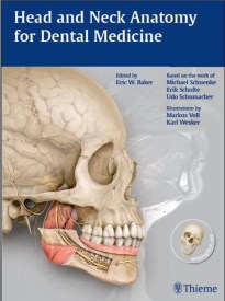 head-and-neck-anatomy-for-dental-medicine