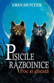 pisicile-razboinice