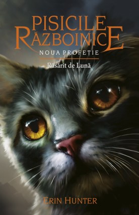 pisicile_razboinice-vol8-c1
